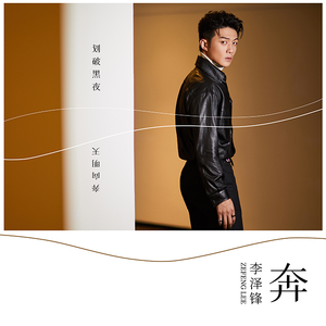 李丽莎价值888的视频发布在哪看
