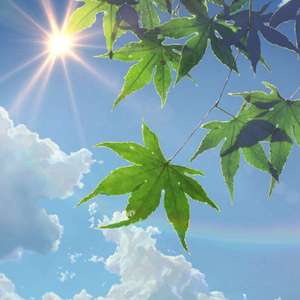 李丽莎价值888的视频发布在哪看
