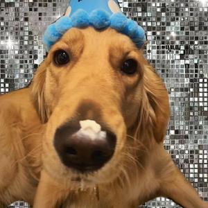 李丽莎价值888的视频发布在哪看
