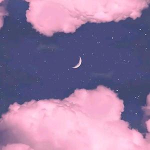 李丽莎价值888的视频发布在哪看
